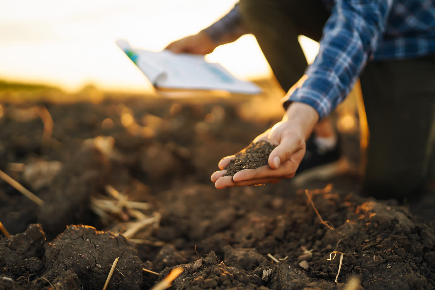 Analysing soil composition on fertile agricultural land