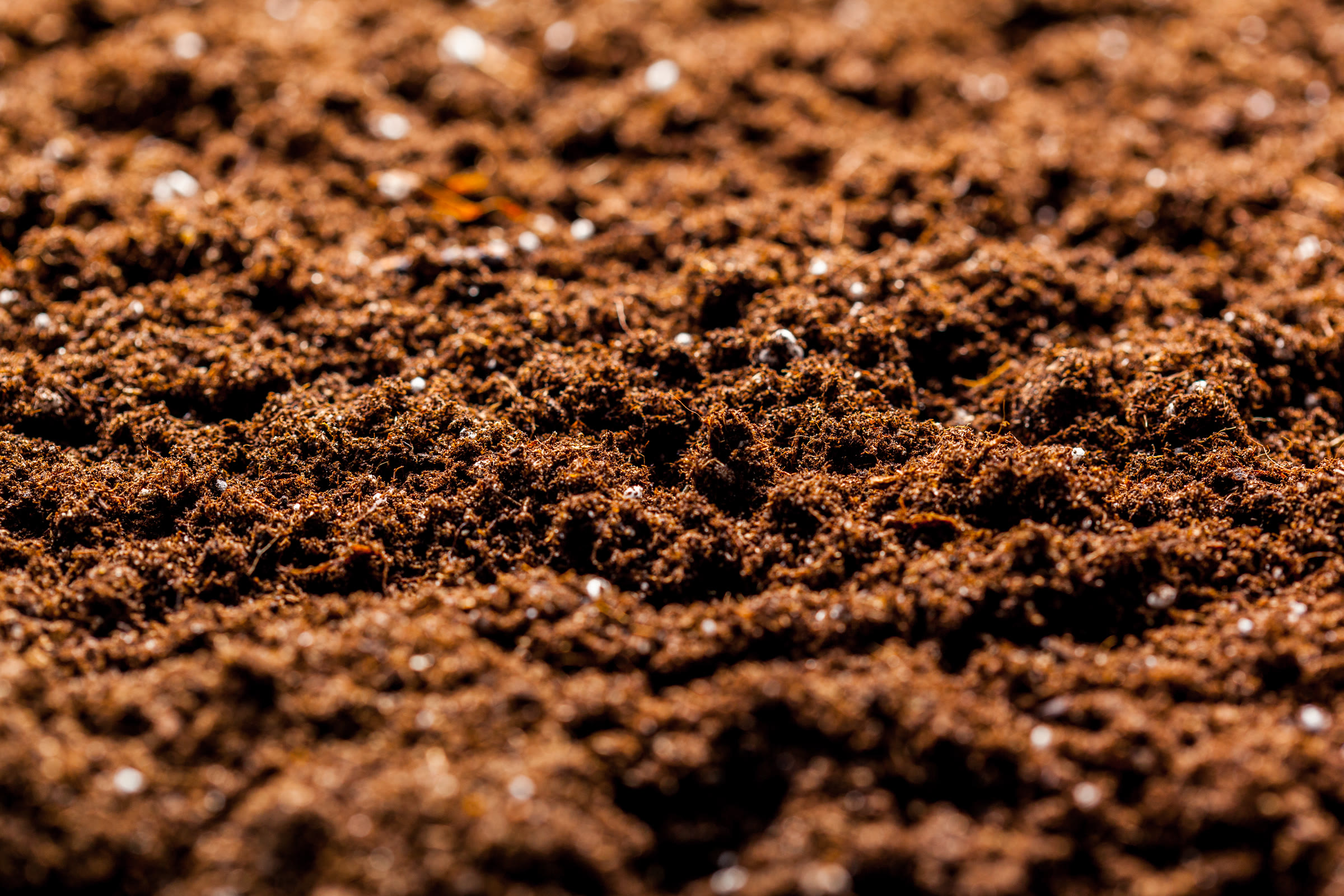 Rich brown soil in close up, showing mineral particles and structure