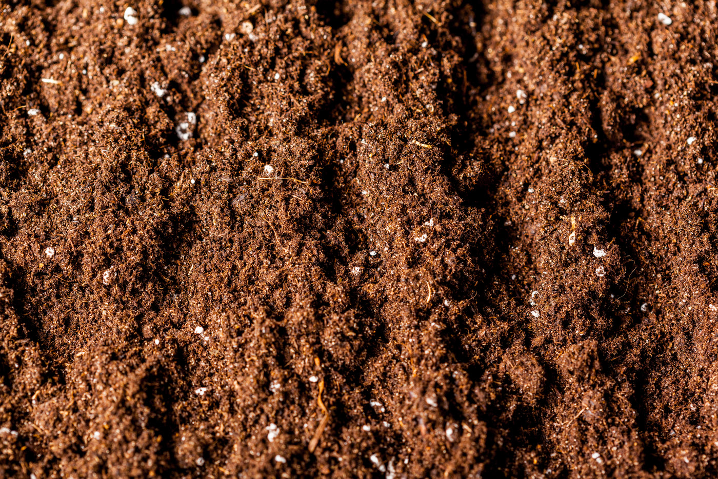 Loose brown soil texture prepared for planting