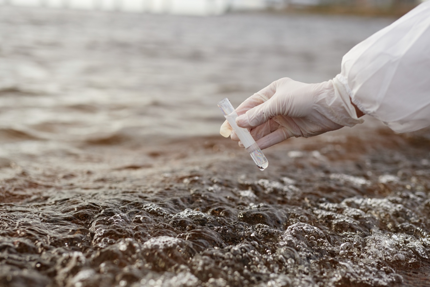 Water sample being taken from the lakeshore in a test tube