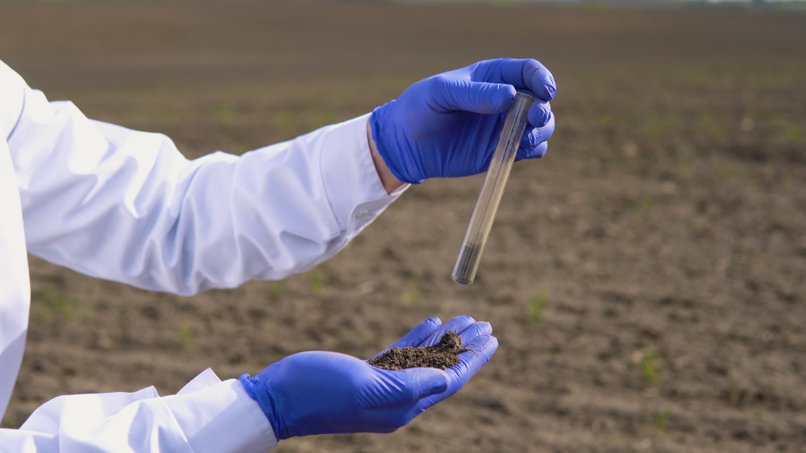 Soil sample being tested in a rural field
